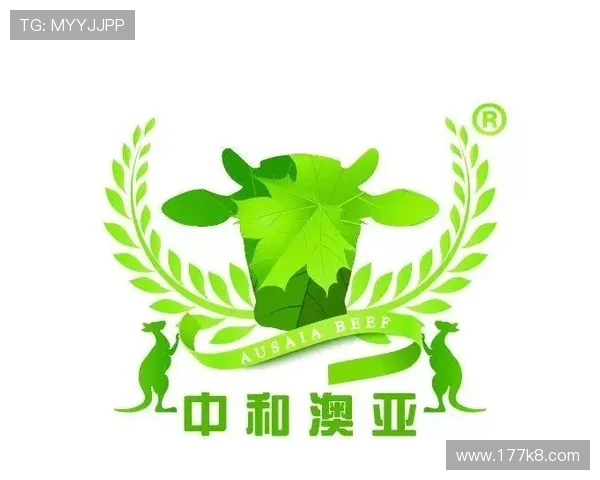 详解澳亚国际登录网址是什么及其使用方法